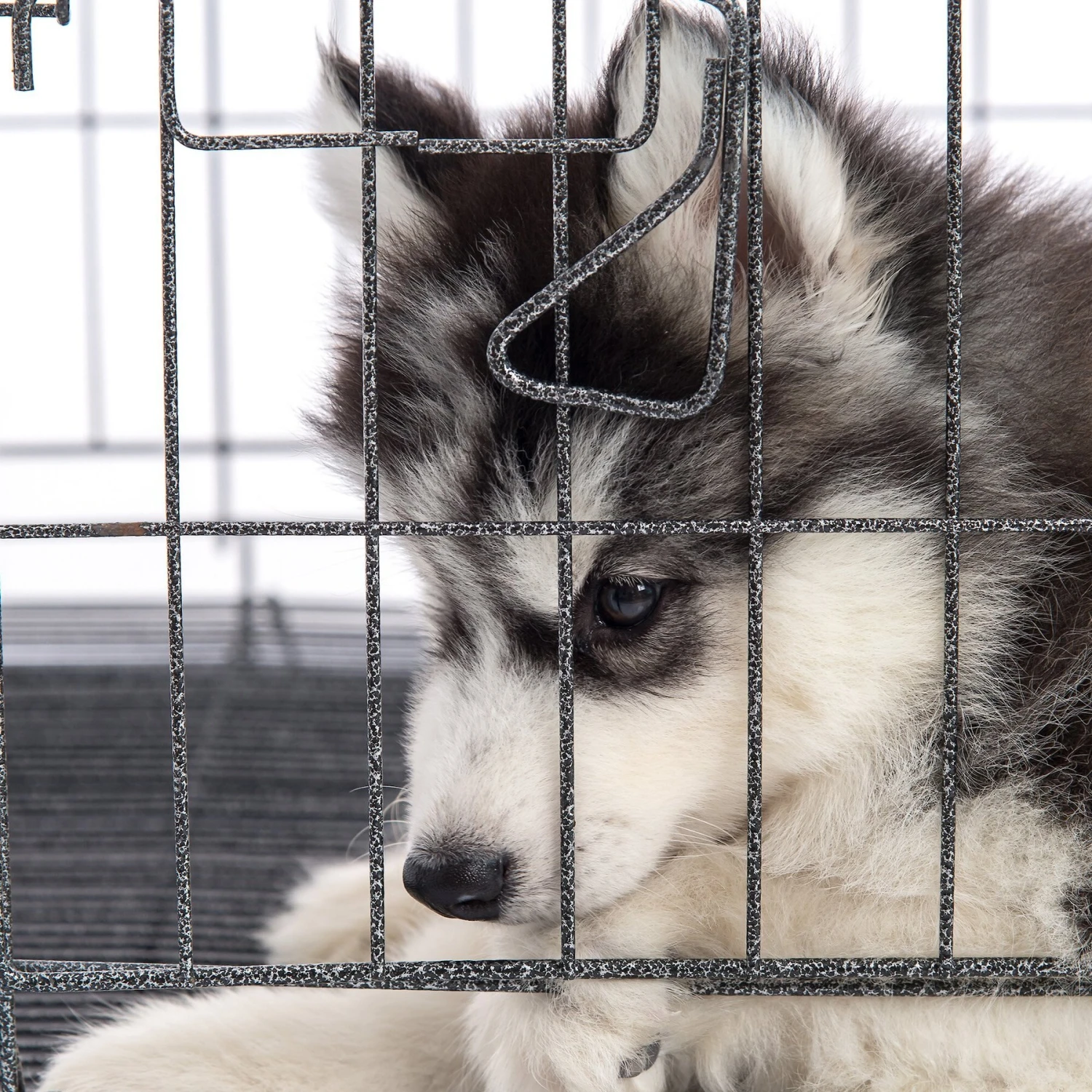 Pet Adobe Hanging Dog Bowl Set 8 Pet Adobe Hanging Dog Bowl Set - Image 6