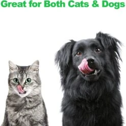 Pet Adobe Modern Double Elevated Dog Bowl -Blue Buffalo || ROYAL CANIN || Wellness Sales 315043 PT4. AC SS1800 V1626387379