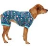 Frisco Celebration Dog & Cat PJs -Blue Buffalo || ROYAL CANIN || Wellness Sales 315105 MAIN. AC SS1800 V1646442148