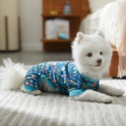 Frisco Celebration Dog & Cat PJs -Blue Buffalo || ROYAL CANIN || Wellness Sales 315105 PT8. AC SS1800 V1646437758