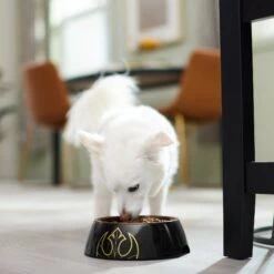 STAR WARS Melamine Stainless Steel Dog & Cat Bowl -Blue Buffalo || ROYAL CANIN || Wellness Sales 315268 PT2. AC SS1800 V1647283229