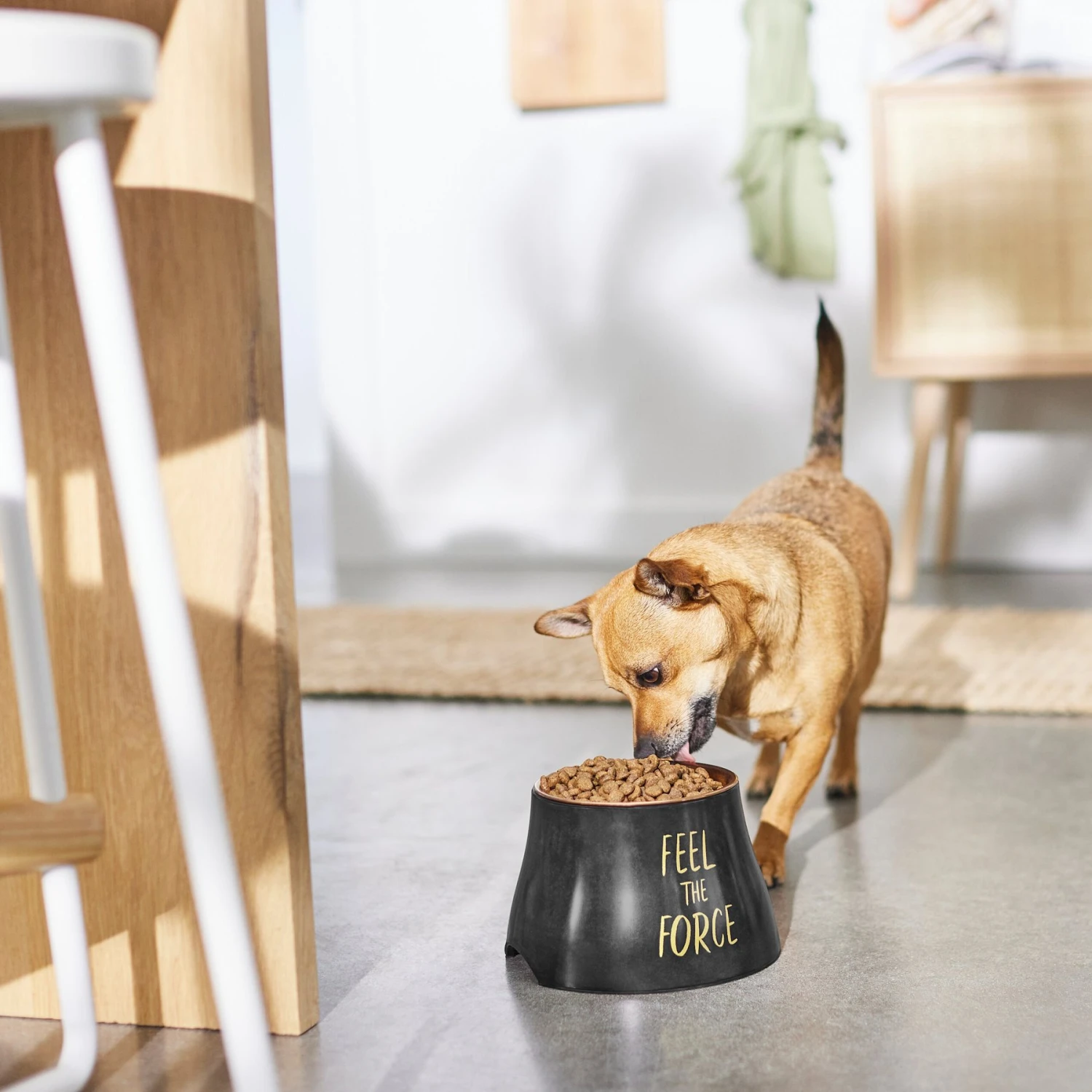 STAR WARS REBEL ICON Elevated Melamine Stainless Steel Dog & Cat Bowl, Black, 1.5 Cup 5 STAR WARS REBEL ICON Elevated Melamine Stainless Steel Dog & Cat Bowl, Black, 1.5 Cup - Image 3