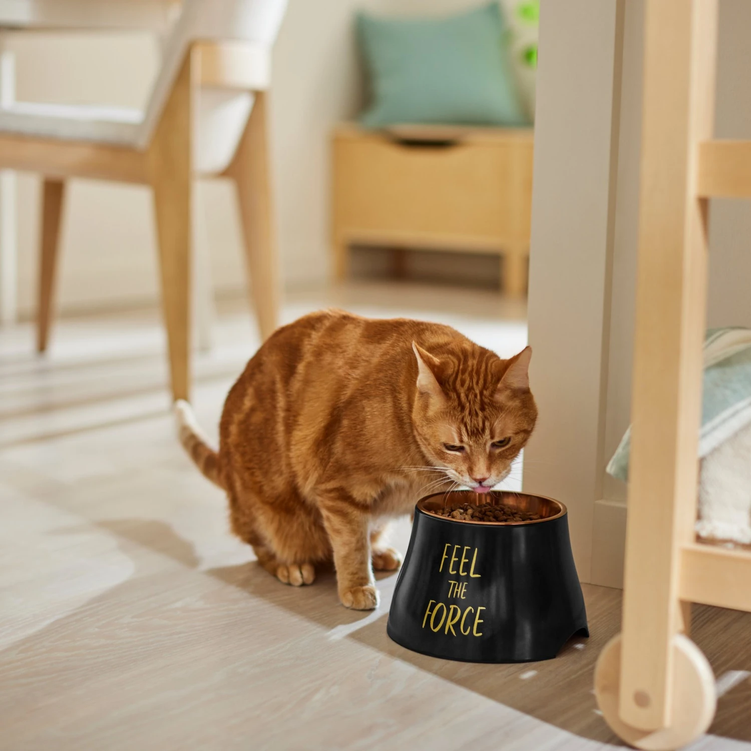 STAR WARS REBEL ICON Elevated Melamine Stainless Steel Dog & Cat Bowl, Black, 1.5 Cup 6 STAR WARS REBEL ICON Elevated Melamine Stainless Steel Dog & Cat Bowl, Black, 1.5 Cup - Image 4