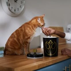 STAR WARS Melamine Dog & Cat Treat Jar -Blue Buffalo || ROYAL CANIN || Wellness Sales 315276 PT3. AC SS1800 V1647281986