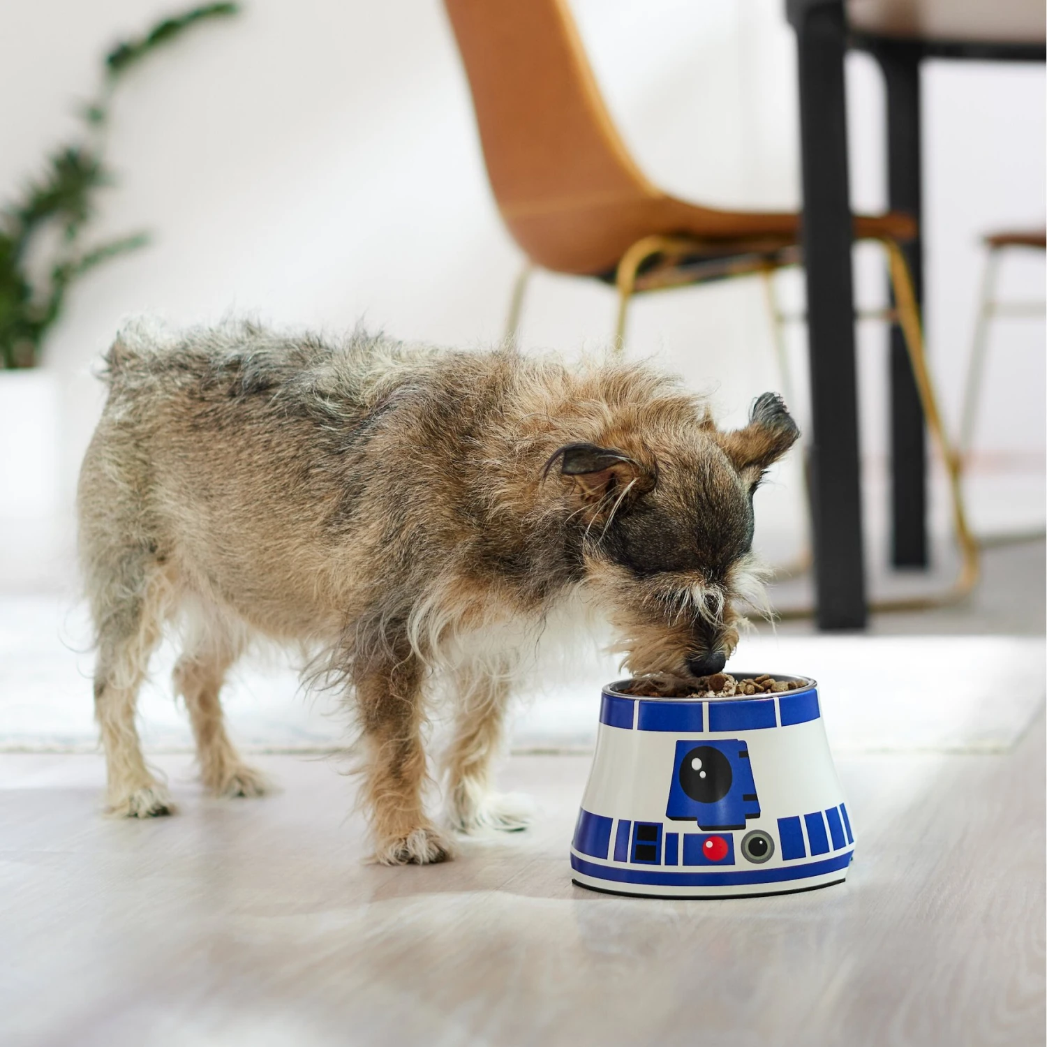 STAR WARS R2-D2 Elevated Melamine Stainless Steel Dog & Cat Bowl, 1.5 Cup 5 STAR WARS R2-D2 Elevated Melamine Stainless Steel Dog & Cat Bowl, 1.5 Cup - Image 3
