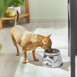 STAR WARS STORMTROOPER Melamine Elevated Stainless Steel Dog & Cat Bowl, 1.5 Cup 10 STAR WARS STORMTROOPER Melamine Elevated Stainless Steel Dog & Cat Bowl, 1.5 Cup -Blue Buffalo || ROYAL CANIN || Wellness Sales 315280 PT2. AC SS1800 V1647283853