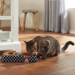 Disney Minnie Mouse Peek-A-Boo Melamine Stainless Steel Double Dog & Cat Bowl 13 Disney Minnie Mouse Peek-A-Boo Melamine Stainless Steel Double Dog & Cat Bowl -Blue Buffalo || ROYAL CANIN || Wellness Sales 315286 PT3. AC SS1800 V1647282324