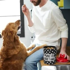 Disney Minnie Mouse Peek-A-Boo Melamine Dog & Cat Treat Jar -Blue Buffalo || ROYAL CANIN || Wellness Sales 315289 PT2. AC SS1800 V1647282455