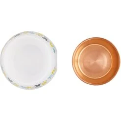 Disney Mickey Mouse Lemon Melamine Stainless Steel Dog & Cat Bowl -Blue Buffalo || ROYAL CANIN || Wellness Sales 315295 PT4. AC SS1800 V1646327340