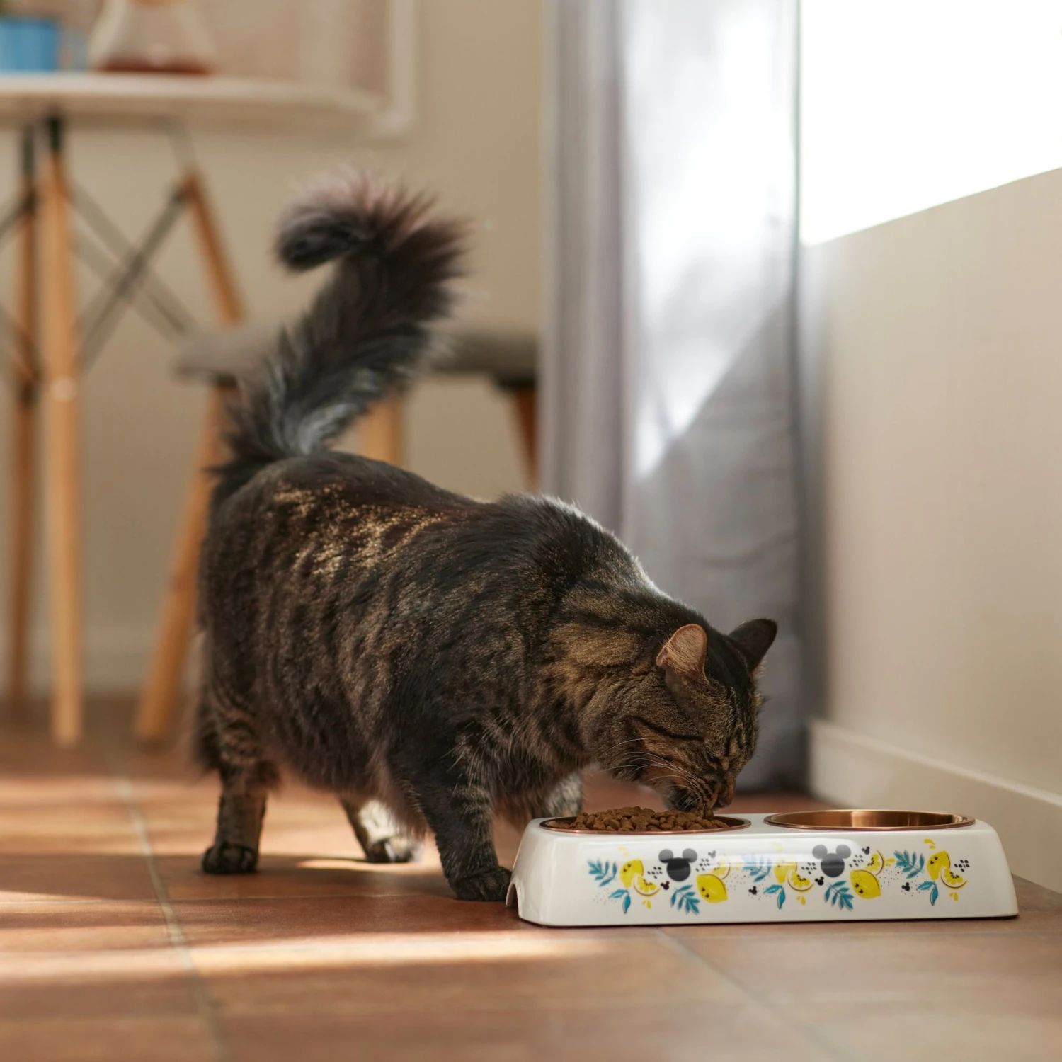 Disney Mickey Mouse Lemon Melamine Stainless Steel Double Dog & Cat Bowl 6 Disney Mickey Mouse Lemon Melamine Stainless Steel Double Dog & Cat Bowl - Image 4