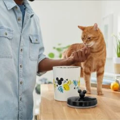 Disney Mickey Mouse Lemon Melamine Dog & Cat Treat Jar -Blue Buffalo || ROYAL CANIN || Wellness Sales 315302 PT3. AC SS1800 V1647283698