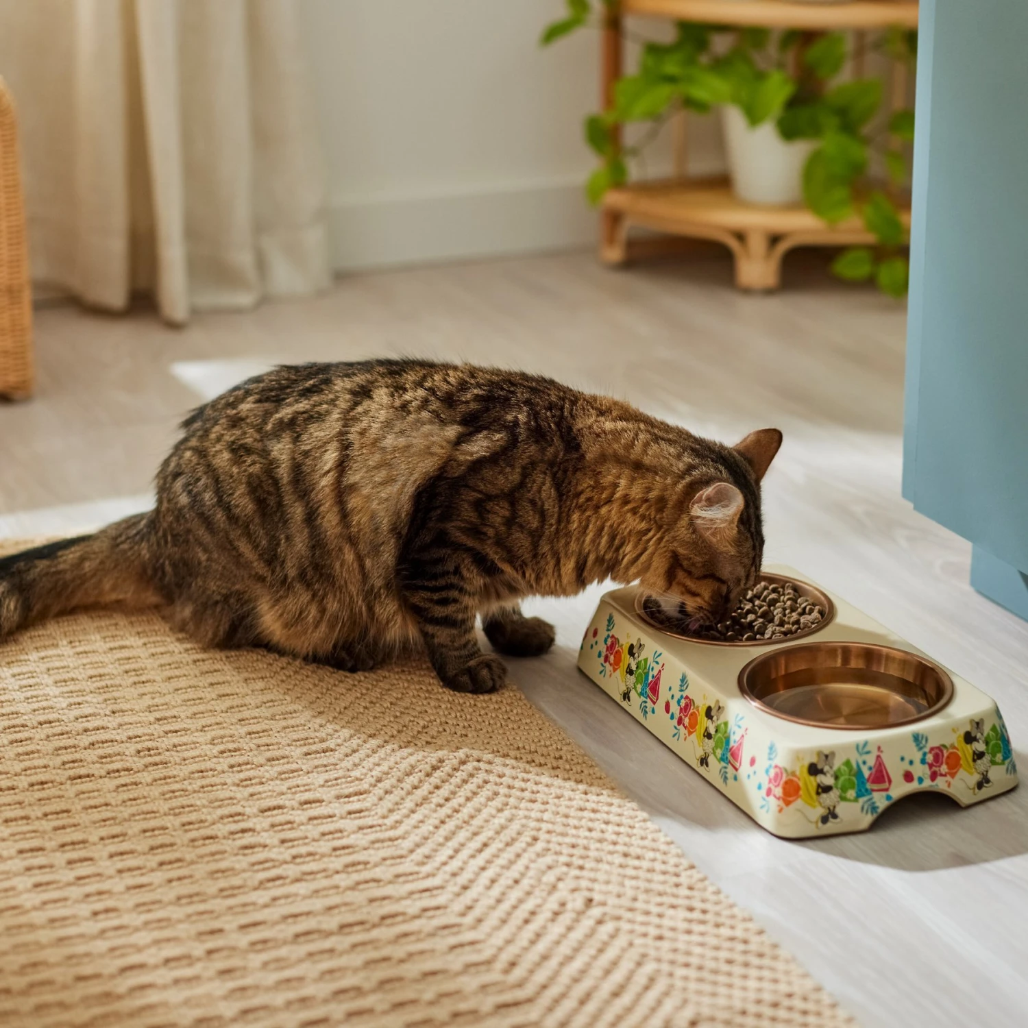 Disney Minnie Mouse Summer Bamboo Melamine Stainless Steel Double Dog & Cat Bowl 6 Disney Minnie Mouse Summer Bamboo Melamine Stainless Steel Double Dog & Cat Bowl - Image 4