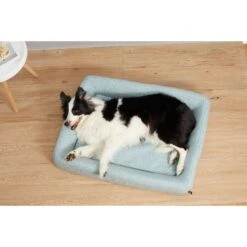 PETKIT Deep Sleep All Season Cat & Dog Bed 9 PETKIT Deep Sleep All Season Cat & Dog Bed -Blue Buffalo || ROYAL CANIN || Wellness Sales 315413 PT3. AC SS1800 V1627593757