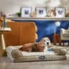 Beautyrest Luxe Lounger Cat & Dog Bed -Blue Buffalo || ROYAL CANIN || Wellness Sales 315645 MAIN. AC SS1800 V1627928264
