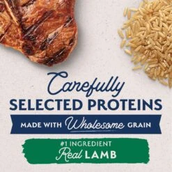 Natural Balance L.I.D. Limited Ingredient Diets Lamb & Brown Rice Formula Large Breed Dry Dog Food 12 Natural Balance L.I.D. Limited Ingredient Diets Lamb & Brown Rice Formula Large Breed Dry Dog Food -Blue Buffalo || ROYAL CANIN || Wellness Sales 315720 PT2. AC SS1800 V1669817759