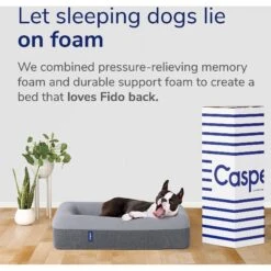 Casper Bolster Dog Bed 16 Casper Bolster Dog Bed -Blue Buffalo || ROYAL CANIN || Wellness Sales 316201 PT6. AC SS1800 V1651788108