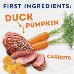 Natural Balance Platefulls Savory Duck & Pumpkin Recipe Wet Dog Food 12 Natural Balance Platefulls Savory Duck & Pumpkin Recipe Wet Dog Food -Blue Buffalo || ROYAL CANIN || Wellness Sales 316435 PT3. AC SS1800 V1627597616