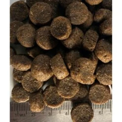 Regal Pet Foods Large Breed Recipe Dry Dog Food -Blue Buffalo || ROYAL CANIN || Wellness Sales 316446 PT3. AC SS1800 V1630335873