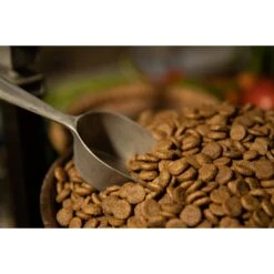 Regal Pet Foods Lean Recipe Dry Dog Food 9 Regal Pet Foods Lean Recipe Dry Dog Food -Blue Buffalo || ROYAL CANIN || Wellness Sales 316453 PT3. AC SS1800 V1630335588