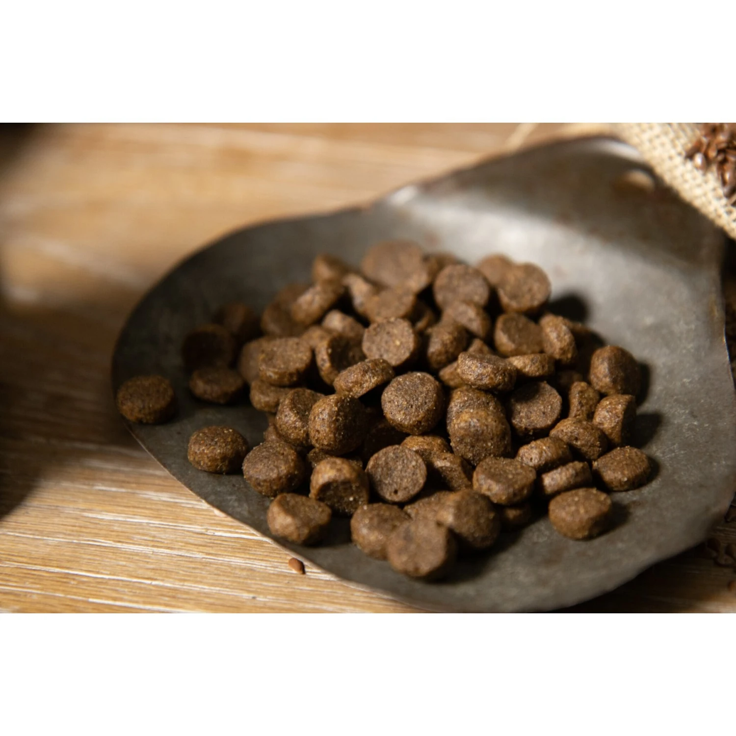 Regal Pet Foods Ocean Recipe Salmon & Whitefish Meals Whole Grains Adult Dry Dog Food 7 Regal Pet Foods Ocean Recipe Salmon & Whitefish Meals Whole Grains Adult Dry Dog Food - Image 5