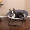 K&H Pet Products Cozy Cot Elevated Dog Bed -Blue Buffalo || ROYAL CANIN || Wellness Sales 316703 MAIN. AC SS1800 V1696351195