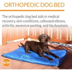 K&H Pet Products Coolin' Comfort Orthopedic Dog Bed -Blue Buffalo || ROYAL CANIN || Wellness Sales 316722 PT3. AC SS1800 V1682706167