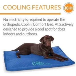 K&H Pet Products Coolin' Comfort Orthopedic Dog Bed -Blue Buffalo || ROYAL CANIN || Wellness Sales 316722 PT4. AC SS1800 V1682705105