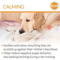 K&H Pet Products Mother's Heartbeat Puppy Heart Pillow -Blue Buffalo || ROYAL CANIN || Wellness Sales 316725 PT4. AC SS1800 V1637624280