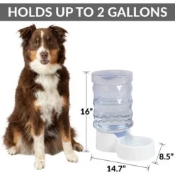 PetFusion H2O Gravity Dog & Cat Waterer -Blue Buffalo || ROYAL CANIN || Wellness Sales 316743 PT1. AC SS1800 V1632177981