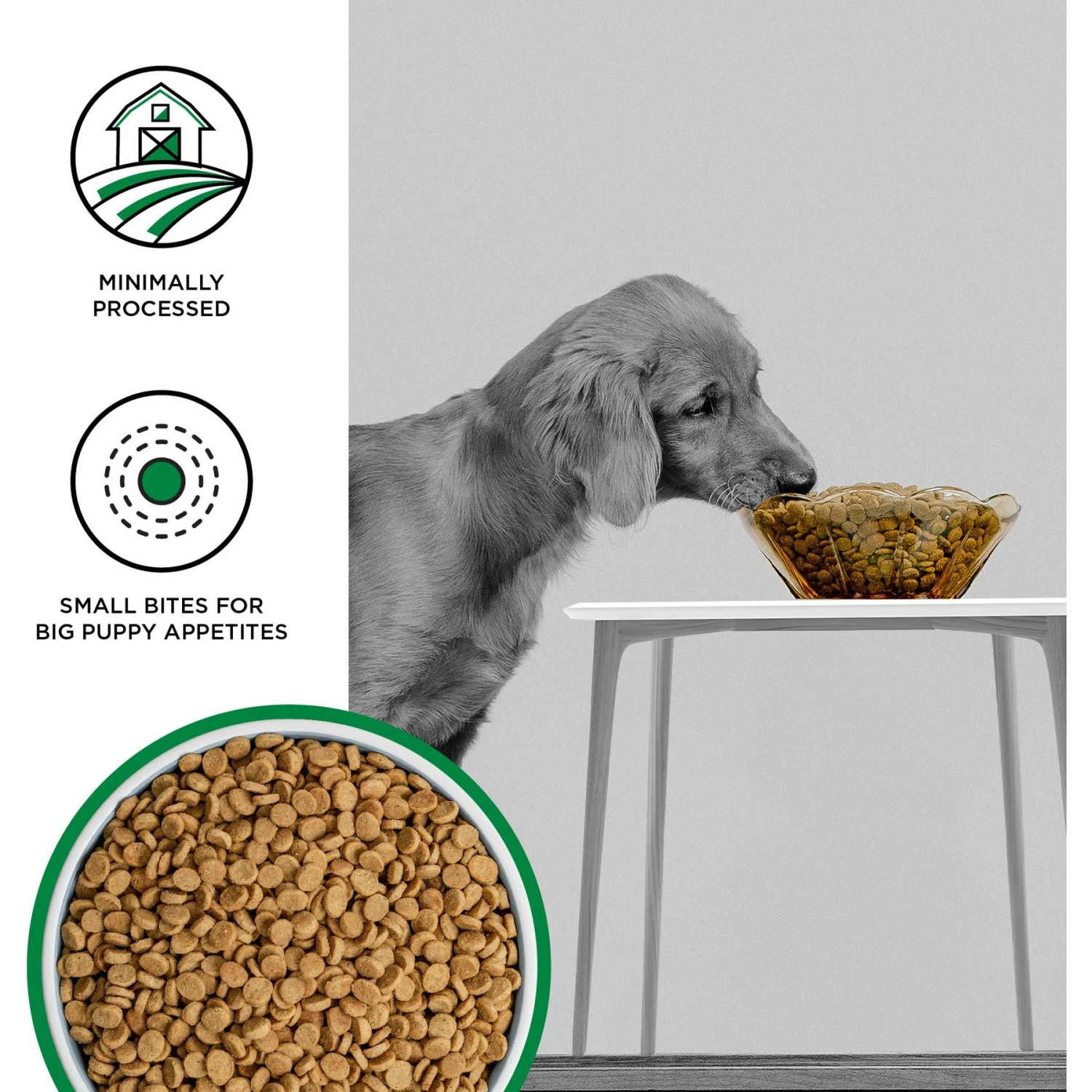 BIXBI Liberty Puppy Original Recipe Fresh Turkey, Chicken & Fish Dry Dog Food 5 BIXBI Liberty Puppy Original Recipe Fresh Turkey, Chicken & Fish Dry Dog Food - Image 3