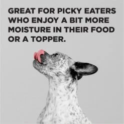 BIXBI Liberty Game Bird Feast Turkey, Turkey Broth, Chicken, Duck & Turkey Liver Wet Dog Food, 12.5-oz Can, Case Of 12 11 BIXBI Liberty Game Bird Feast Turkey, Turkey Broth, Chicken, Duck & Turkey Liver Wet Dog Food, 12.5-oz Can, Case Of 12 -Blue Buffalo || ROYAL CANIN || Wellness Sales 317479 PT3. AC SS1800 V1681395691