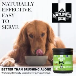 Nature's Diet Toothbrush Systemic Plaque Remover Dry Dog Food Topping, 14.8-oz Jar 13 Nature's Diet Toothbrush Systemic Plaque Remover Dry Dog Food Topping, 14.8-oz Jar -Blue Buffalo || ROYAL CANIN || Wellness Sales 318153 PT3. AC SS1800 V1628804515