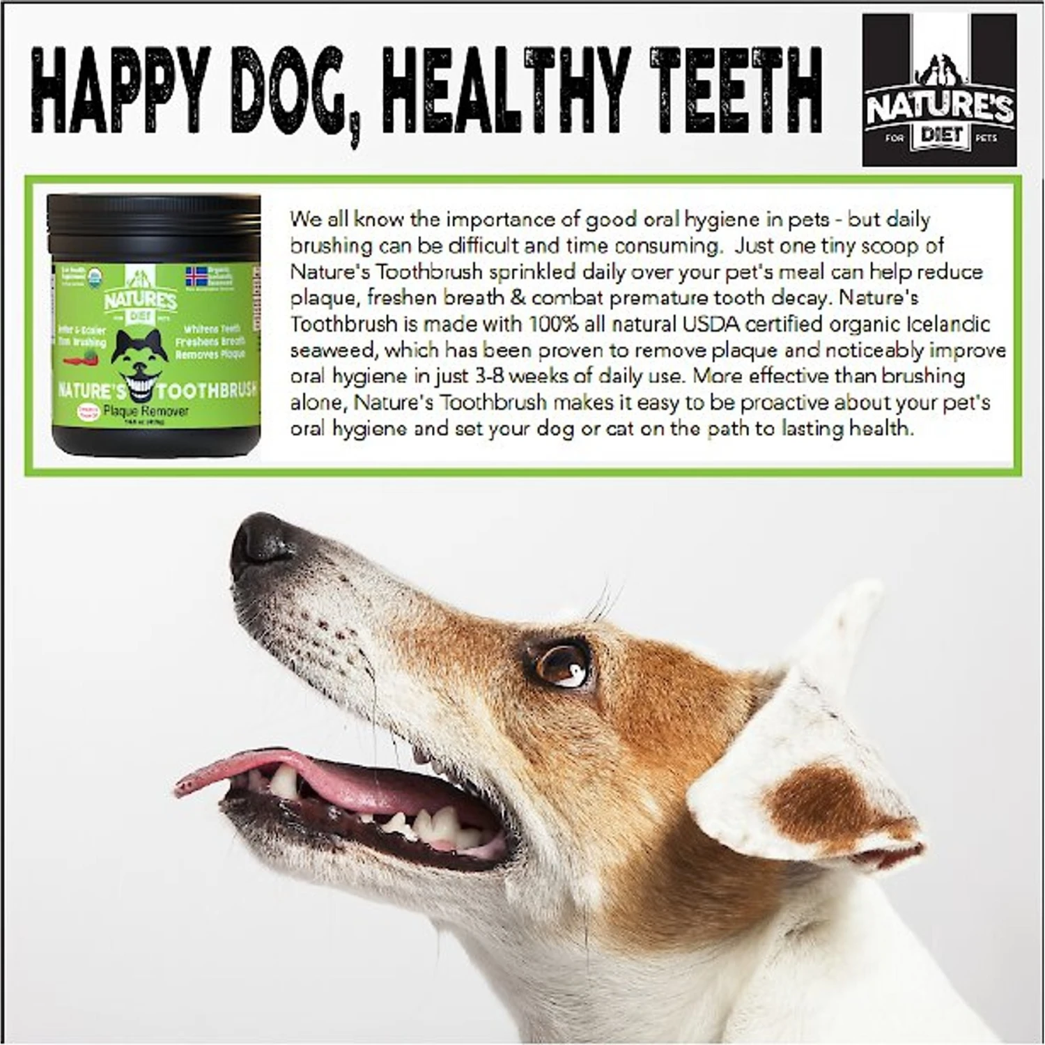 Nature's Diet Toothbrush Systemic Plaque Remover Dry Dog Food Topping, 14.8-oz Jar 7 Nature's Diet Toothbrush Systemic Plaque Remover Dry Dog Food Topping, 14.8-oz Jar - Image 5