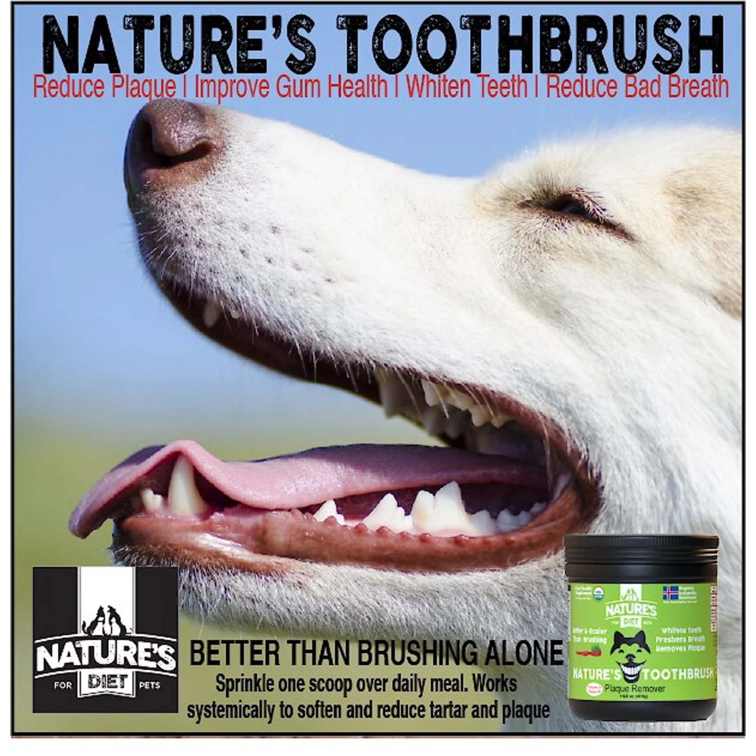 Nature's Diet Toothbrush Systemic Plaque Remover Dry Dog Food Topping, 14.8-oz Jar 10 Nature's Diet Toothbrush Systemic Plaque Remover Dry Dog Food Topping, 14.8-oz Jar - Image 8