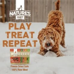 Nature's Diet Salmon Raw Freeze-Dried Dog Treats, 2-oz Pouch -Blue Buffalo || ROYAL CANIN || Wellness Sales 318163 PT7. AC SS1800 V1628806717