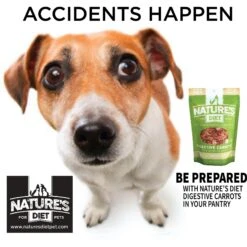 Nature's Diet Digestive Relief & Anit-Diarhea Carrots Raw Freeze-Dried Dog Treats, 6-oz Pouch -Blue Buffalo || ROYAL CANIN || Wellness Sales 318179 PT3. AC SS1800 V1628802099