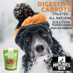 Nature's Diet Digestive Relief & Anit-Diarhea Carrots Raw Freeze-Dried Dog Treats, 6-oz Pouch -Blue Buffalo || ROYAL CANIN || Wellness Sales 318179 PT4. AC SS1800 V1628804820