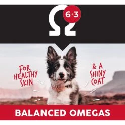 Ultimates Adult Chicken Meal & Rice Flavored Dry Dog Food -Blue Buffalo || ROYAL CANIN || Wellness Sales 322681 PT6. AC SS1800 V1635183101