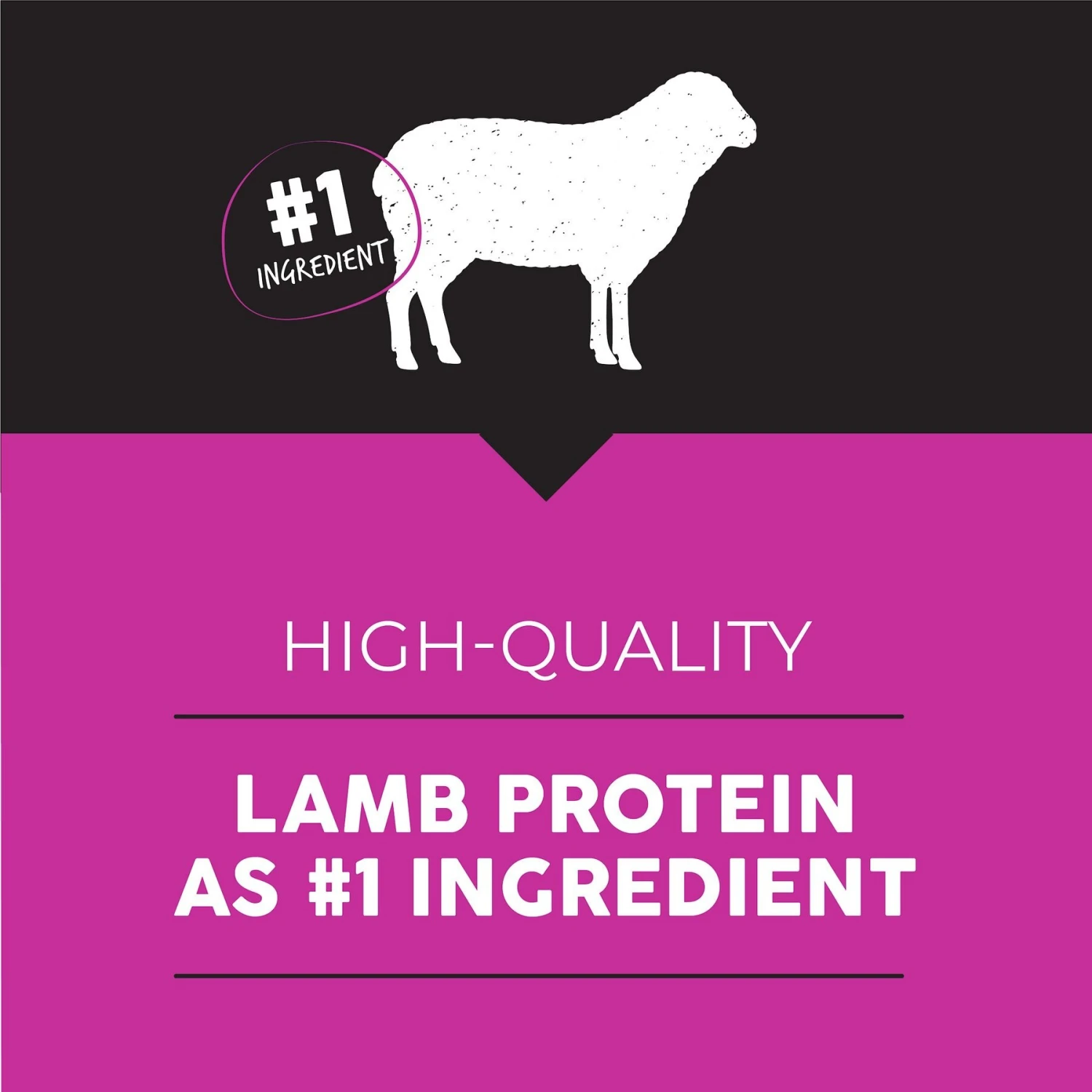 Ultimates Lamb Meal & Brown Rice Dry Dog Food 5 Ultimates Lamb Meal & Brown Rice Dry Dog Food - Image 3