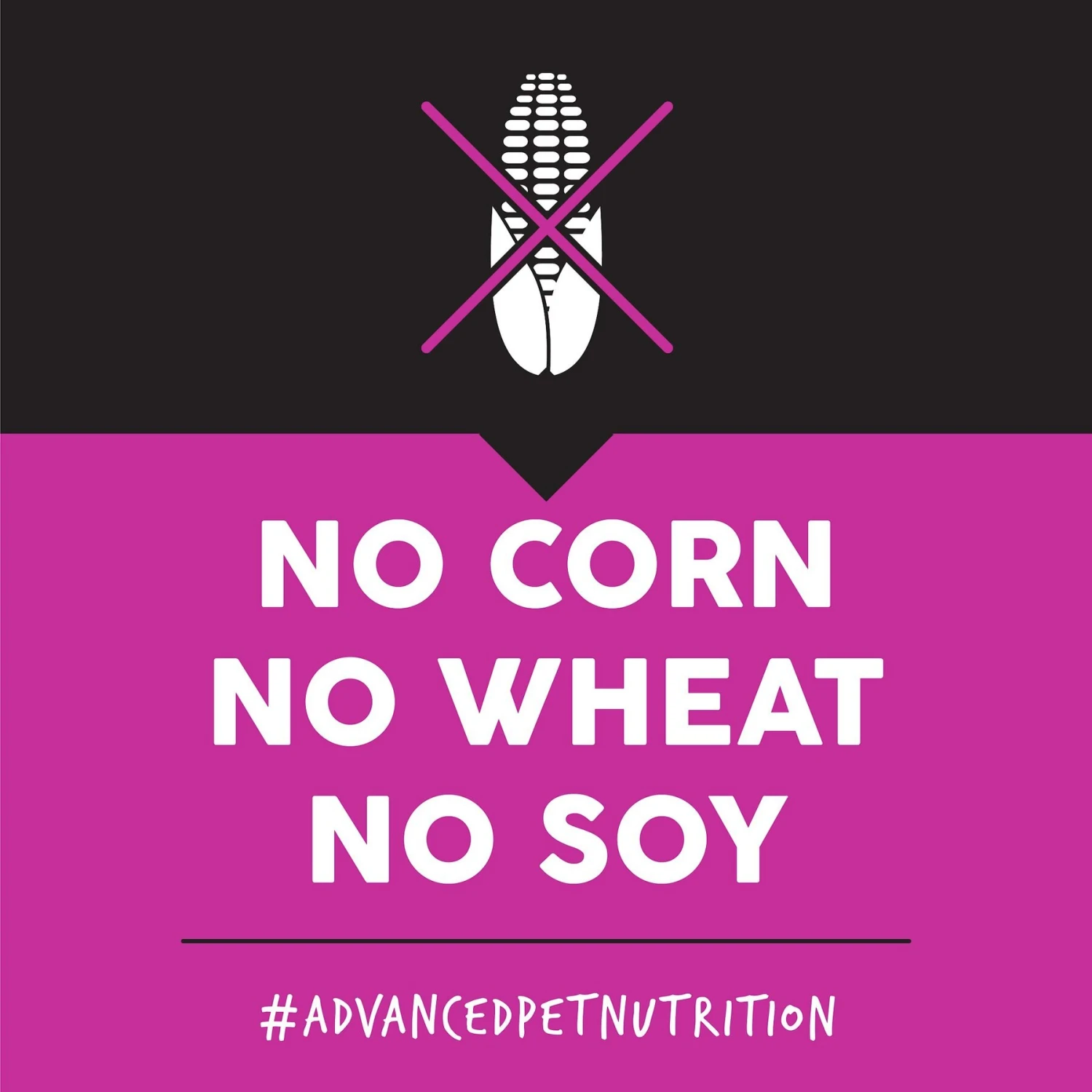 Ultimates Lamb Meal & Brown Rice Dry Dog Food 7 Ultimates Lamb Meal & Brown Rice Dry Dog Food - Image 5