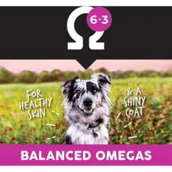 Ultimates Lamb Meal & Brown Rice Dry Dog Food 14 Ultimates Lamb Meal & Brown Rice Dry Dog Food -Blue Buffalo || ROYAL CANIN || Wellness Sales 322683 PT6. AC SS1800 V1635183095