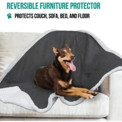 PetAmi Sherpa Cat & Dog Blanket -Blue Buffalo || ROYAL CANIN || Wellness Sales 326482 PT4. AC SS1800 V1631837202