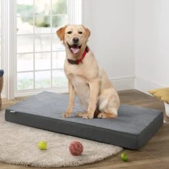 Zinus Green Tea Dog Bed, Dark Grey, 4-in -Blue Buffalo || ROYAL CANIN || Wellness Sales 327437 PT2. AC SS1800 V1631618827