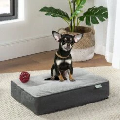 Zinus UltraPlush Green Tea Dog Bed, Grey, 5-in 13 Zinus UltraPlush Green Tea Dog Bed, Grey, 5-in -Blue Buffalo || ROYAL CANIN || Wellness Sales 327439 PT2. AC SS1800 V1631590311