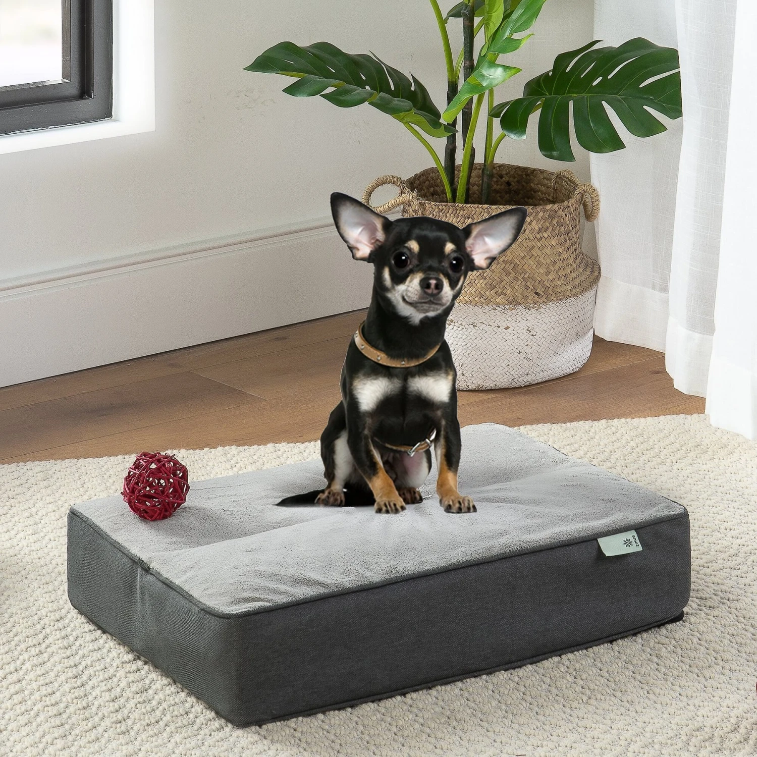 Zinus UltraPlush Green Tea Dog Bed, Grey, 5-in 5 Zinus UltraPlush Green Tea Dog Bed, Grey, 5-in - Image 3