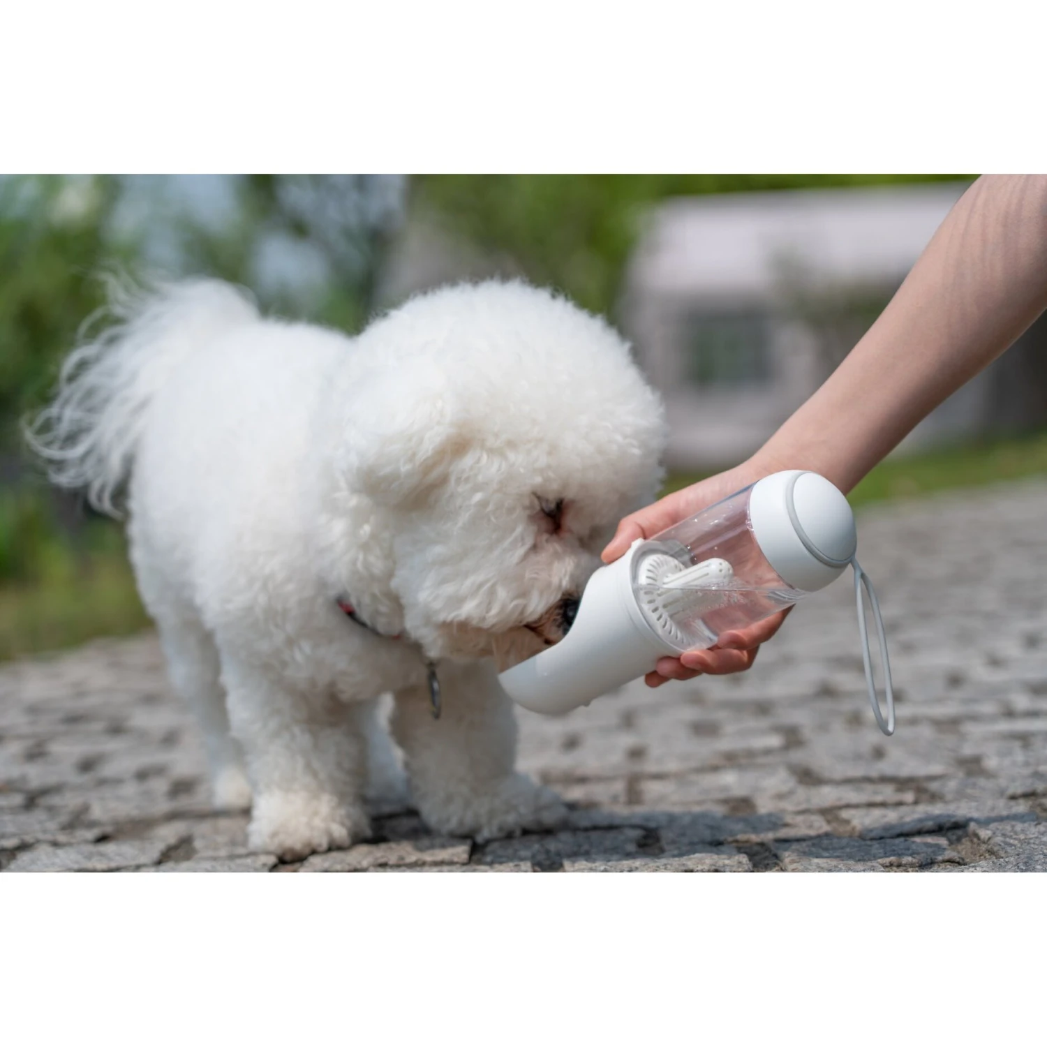 Pet Life PYURE Handheld Travel Filtered Water Dog & Cat Feeder 7 Pet Life PYURE Handheld Travel Filtered Water Dog & Cat Feeder - Image 5