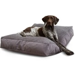Happy Hounds Bailey Removable Cover Rectangle Pillow Dog Bed, Gray -Blue Buffalo || ROYAL CANIN || Wellness Sales 328578 PT3. AC SS1800 V1698936677