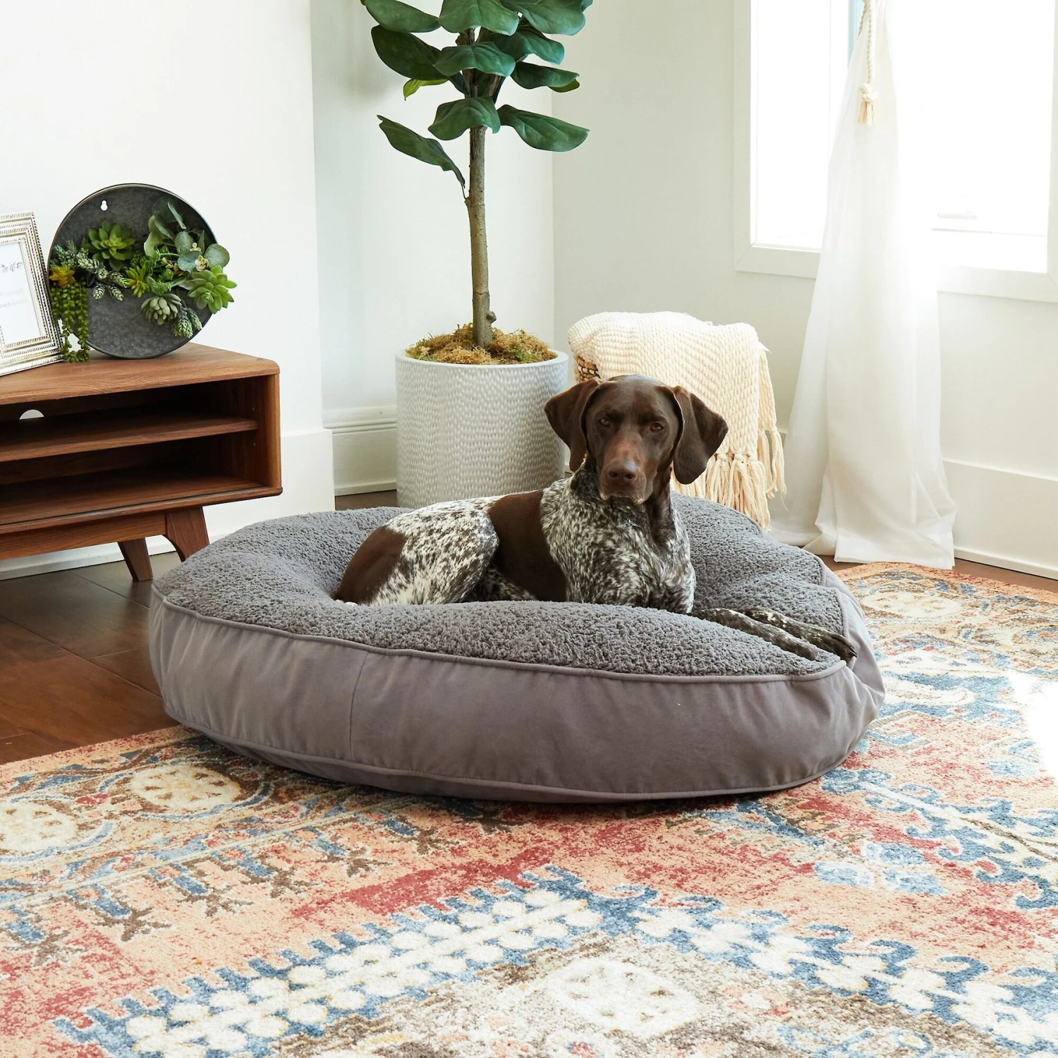 Happy Hounds Scooter Deluxe Round Pillow Dog Bed With Removable Cover, Gray 6 Happy Hounds Scooter Deluxe Round Pillow Dog Bed With Removable Cover, Gray - Image 4