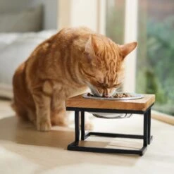 Frisco Premium Wood Elevated Single Dog & Cat Bowl 12 Frisco Premium Wood Elevated Single Dog & Cat Bowl -Blue Buffalo || ROYAL CANIN || Wellness Sales 331493 PT3. AC SS1800 V1657656892