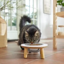 Frisco Premium Round Shape Elevated Single Dog & Cat Bowl 11 Frisco Premium Round Shape Elevated Single Dog & Cat Bowl -Blue Buffalo || ROYAL CANIN || Wellness Sales 331502 PT3. AC SS1800 V1657656892